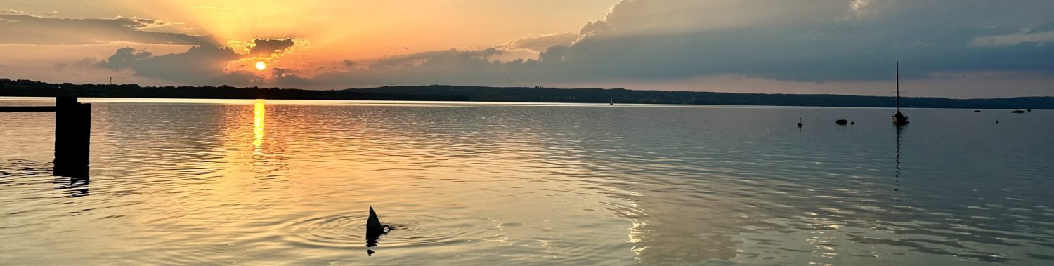 [ Männerschmiede ]    Mann, wo ist Deine Würde?